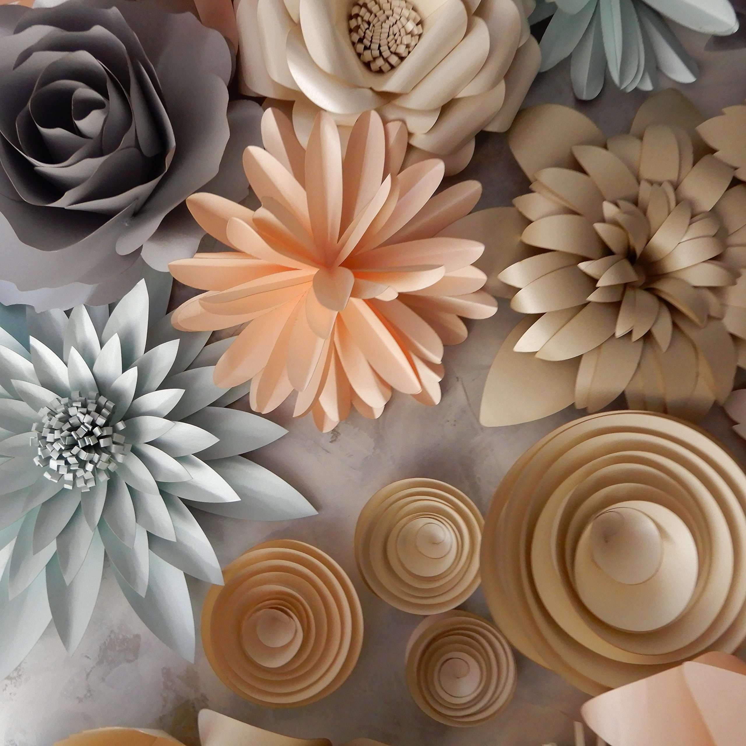 Paper Flower Template Kit Pattern DIY Make Your own Flower Backdrop Photo Booth Flower Decoration Card Stock Alegria 3