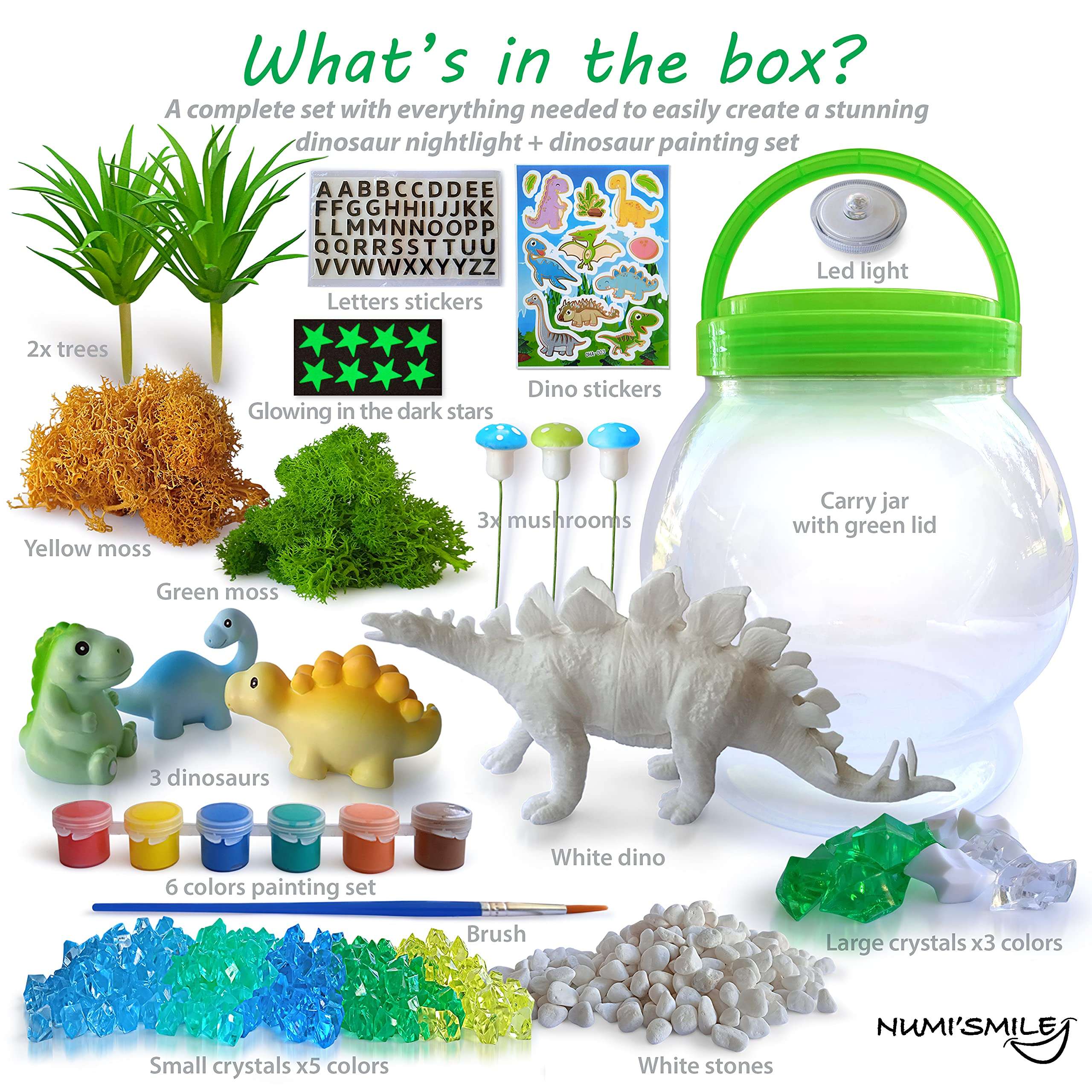 Make Your Own Light-Up Dinosaur Terrarium Kit for Kids and DIY Dinosaur Painting Kit, Gifts for Kids Boys and Girls Ages 4 5 6 7 8 9 10 Years and Up, Dinosaur Toys Arts and Crafts Night Light Project 4