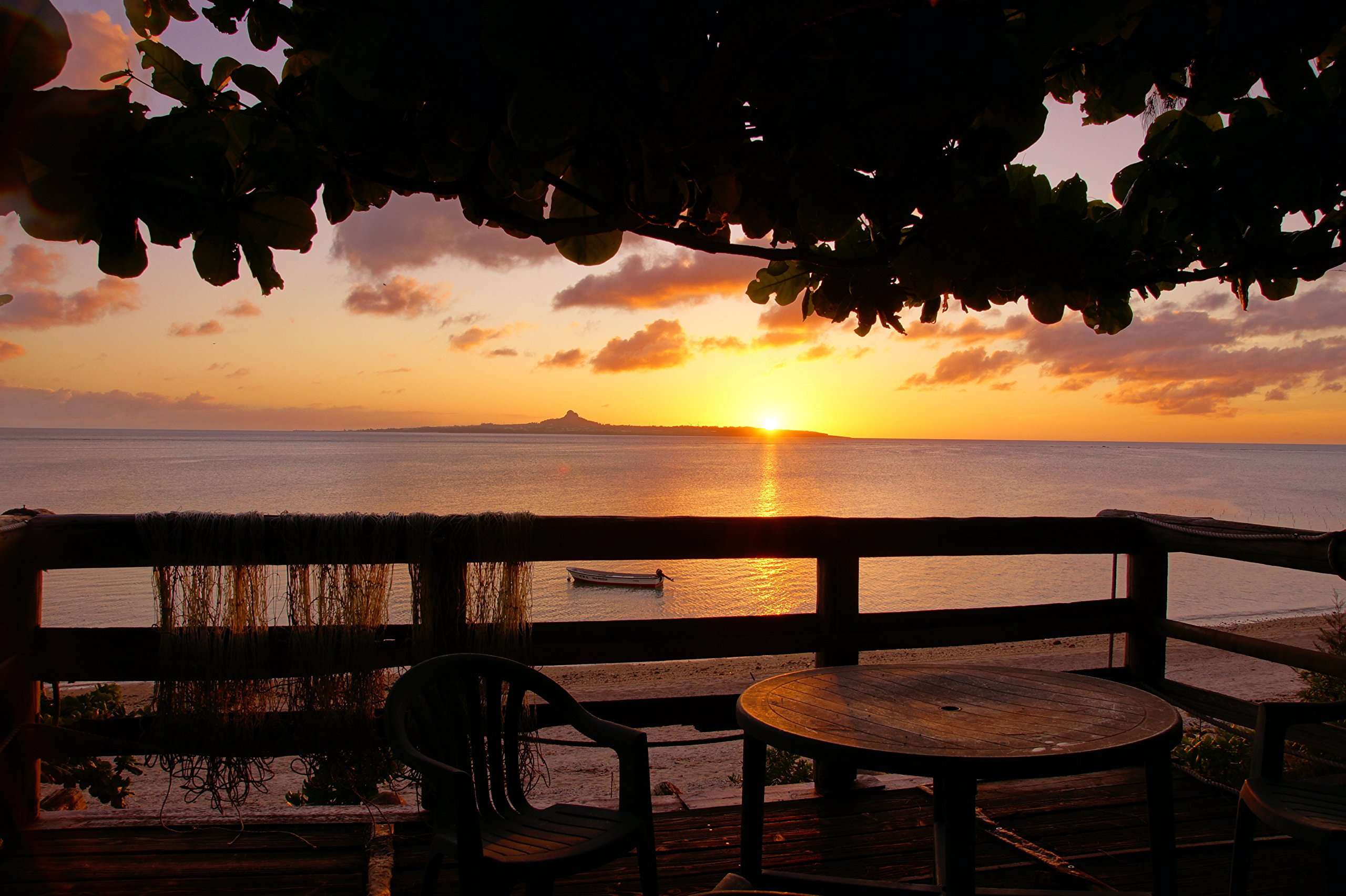 Sony 16-80mm f/3.5-4.5 Carl Zeiss Vario-Sonnar T DT Zoom Lens for Sony Alpha Digital SLR Camera 2