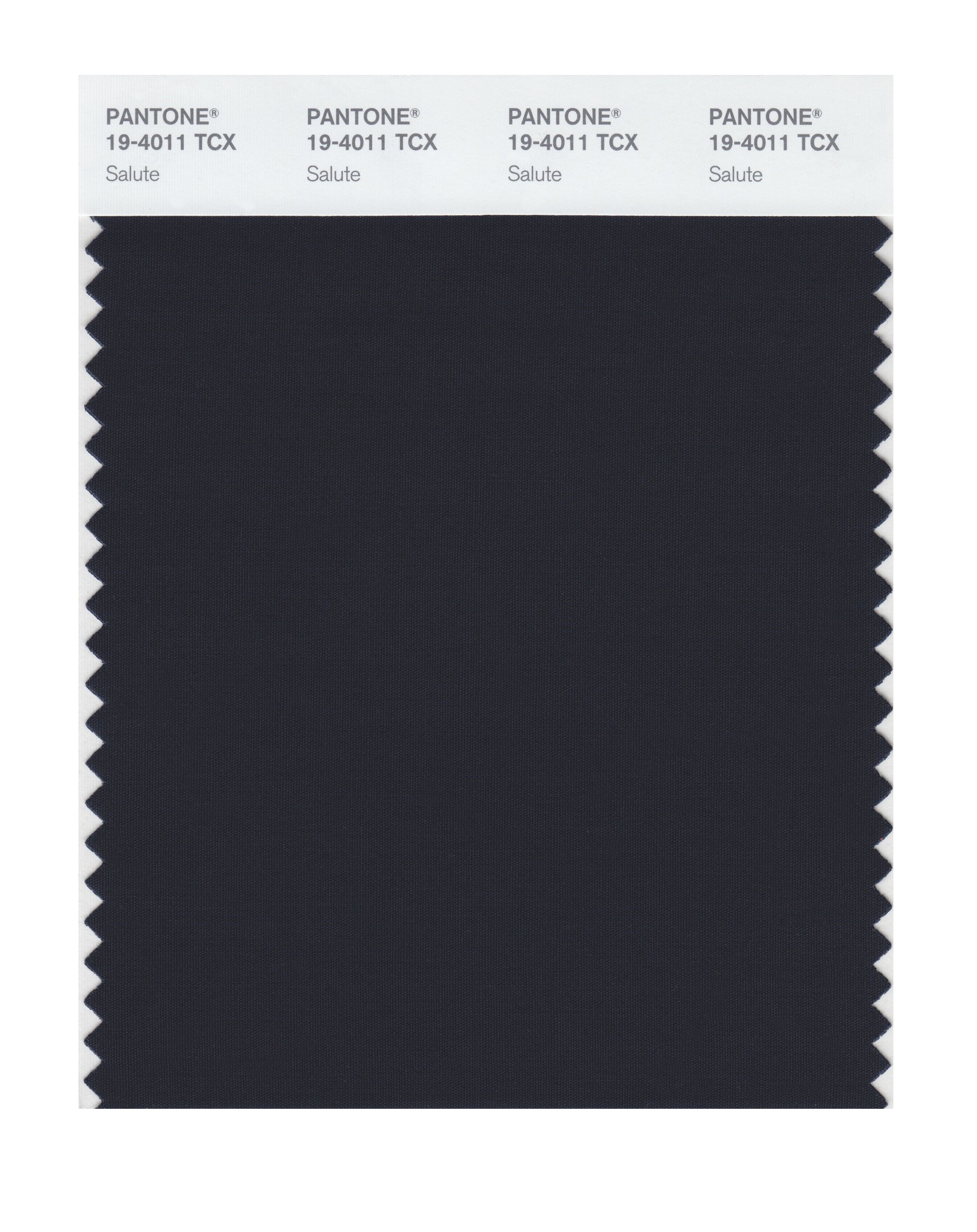 Pantone 19-4011 TCX Smart Color Swatch Card, Salute