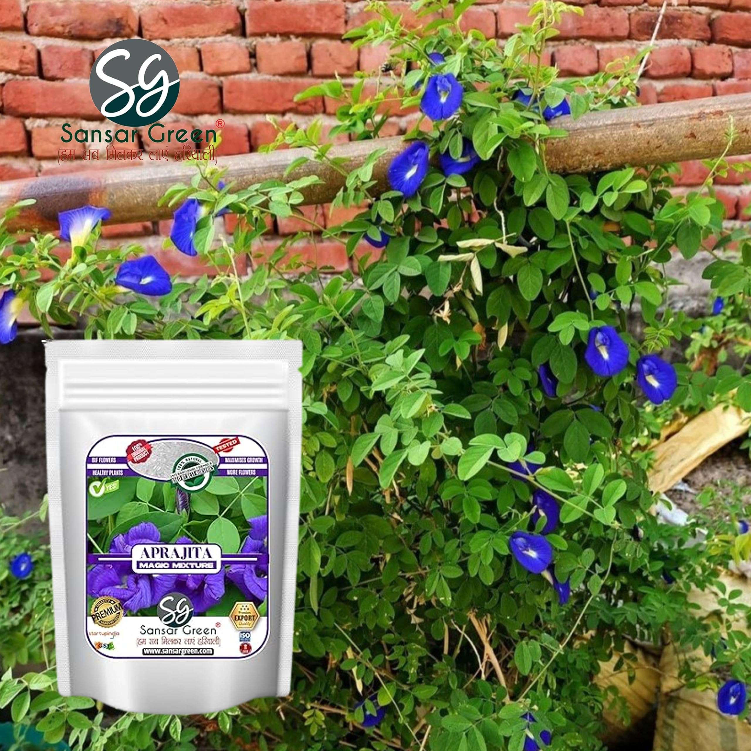 Sansar Green ® Aprajita Magic Mixture, Essential Super Powerful Organic Fertilizer for Aprajita Plants with ++ Growth Booster and Active Micro Organism (5kg) 5