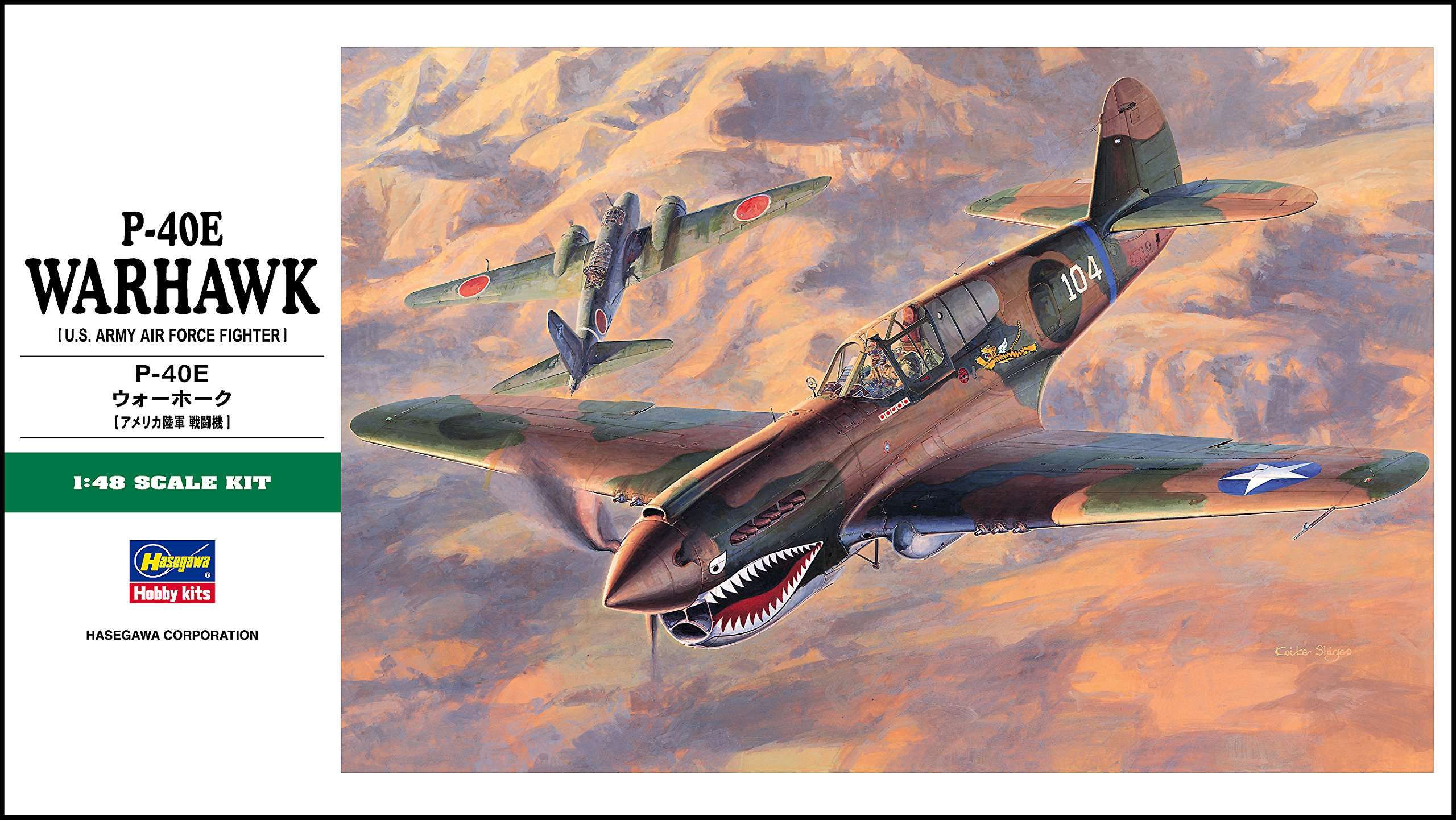 Hasegawa 1/48 P-40E Warhawk 2