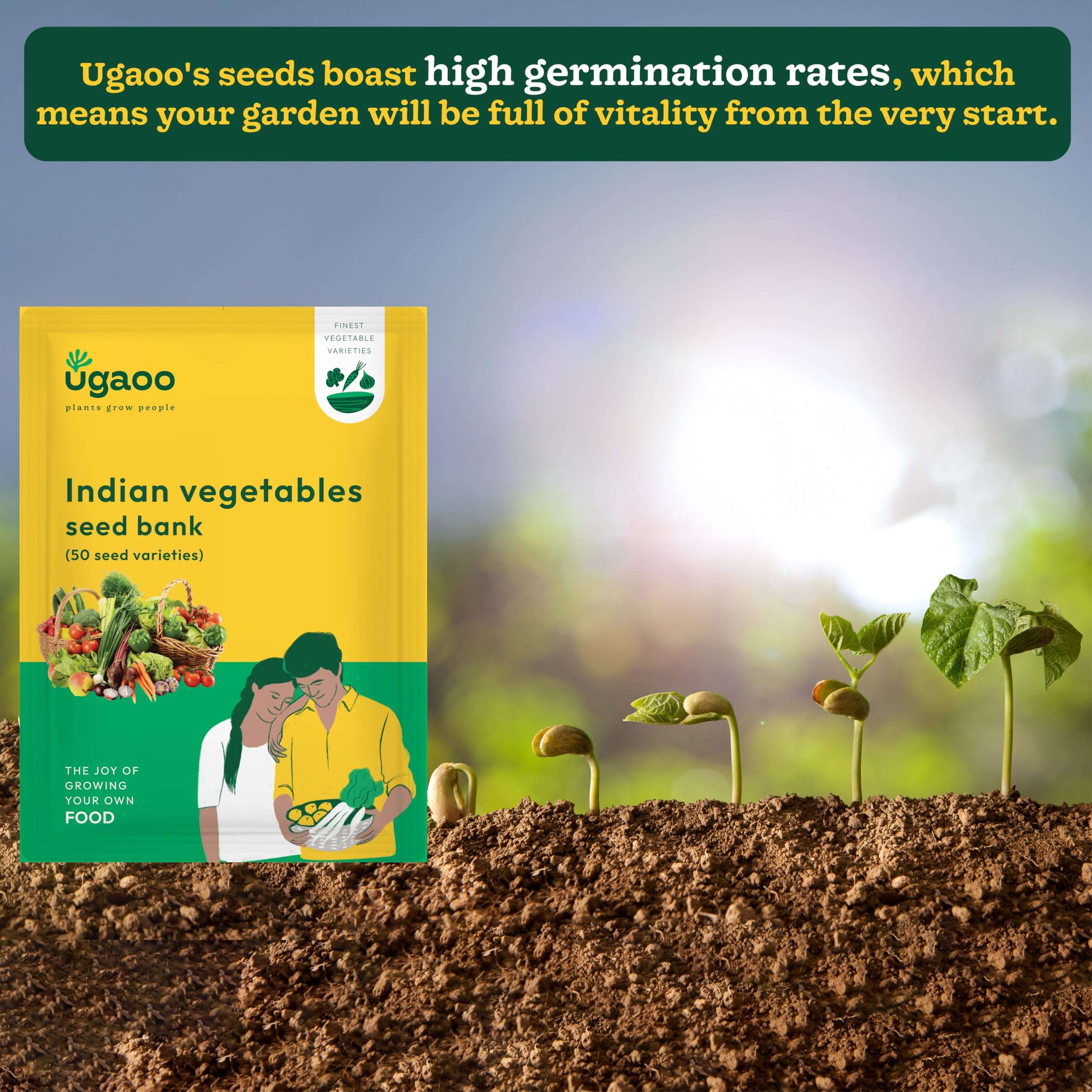 UGAOO Indian Vegetable Seeds Bank For Home Garden 50 Varieties - 2255 Seeds 4