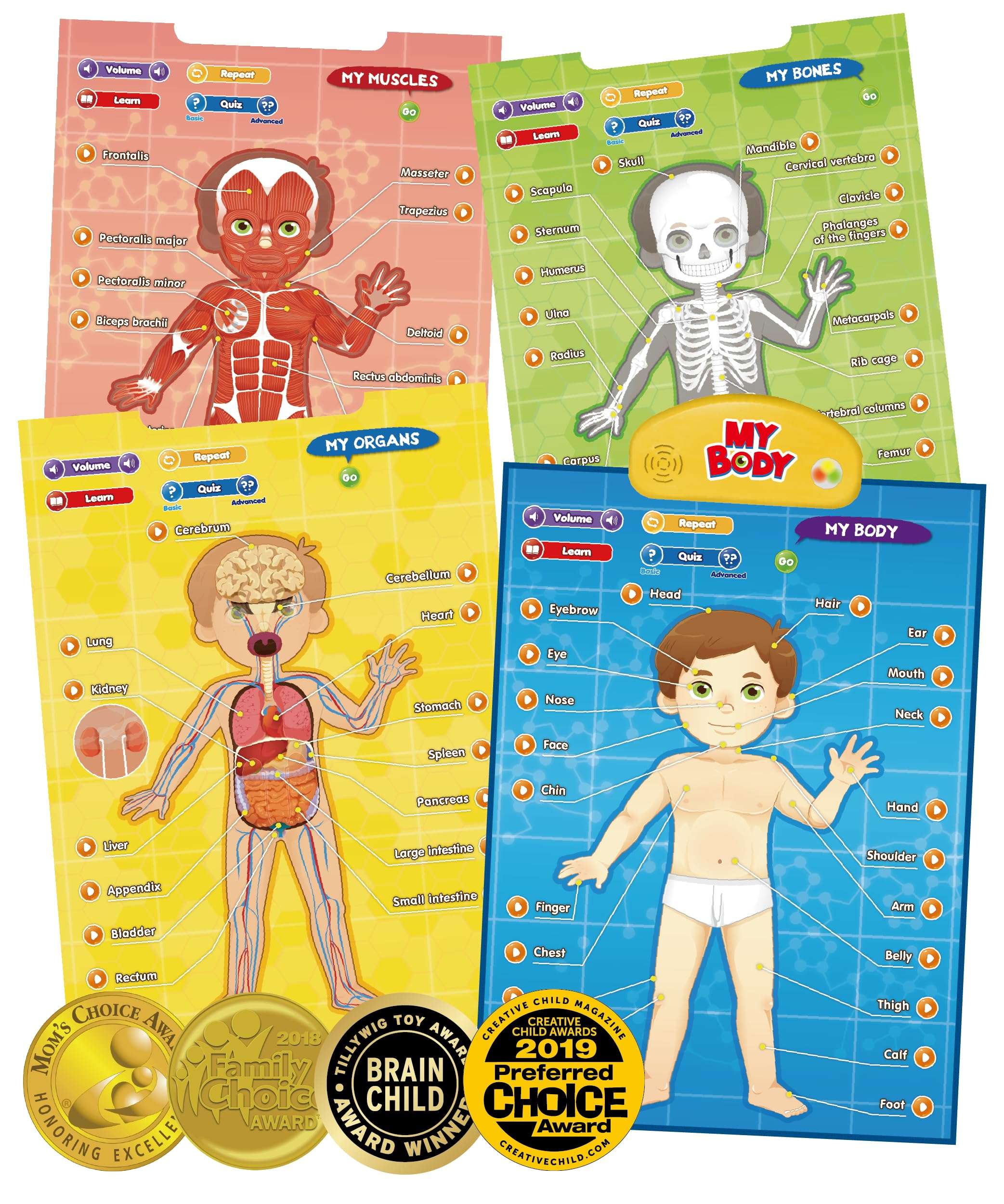 BEST LEARNING i-Poster My Body – Interactive Educational Human Anatomy Talking Toy for Kids Ages 5-12 to Learn Body Parts, Organs, Muscles and Bones Through Fun Sound and Quiz Modes 1