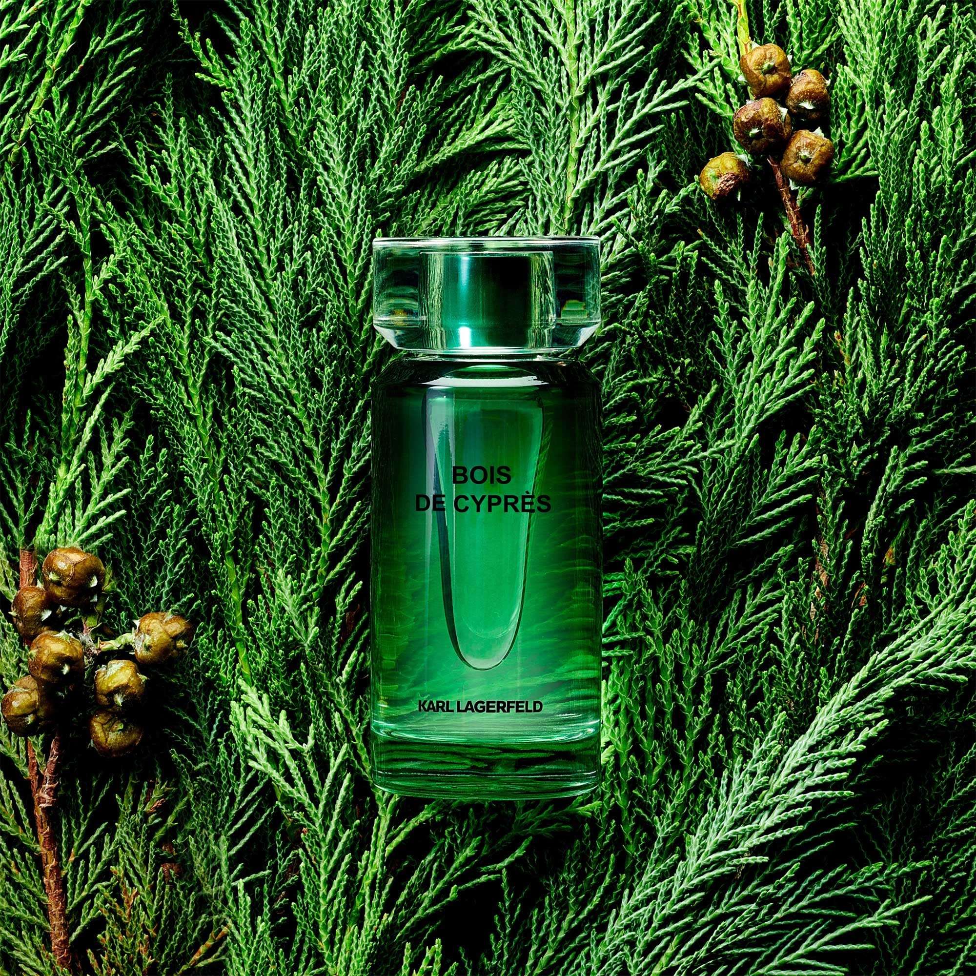 Karl Lagerfeld Men Parfums Matieres Bois de Cyprès Eau de Toilette 100ml 5