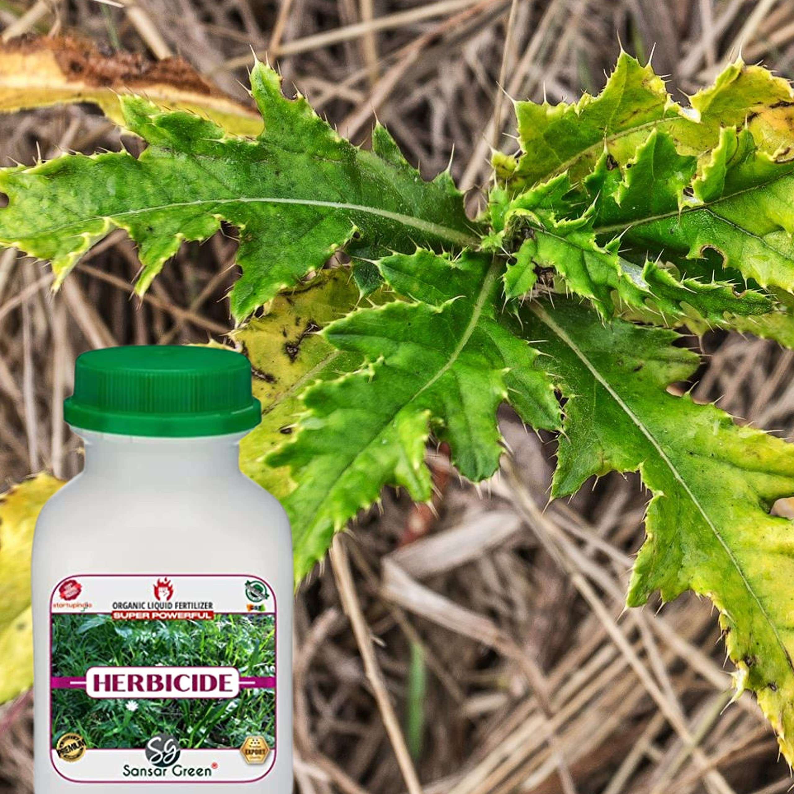 Sansar Green® Liquid Herbicide, Premium Essential Super Powerful Liquid Herbicide for Removing Wild Herbs (50 ml) 6
