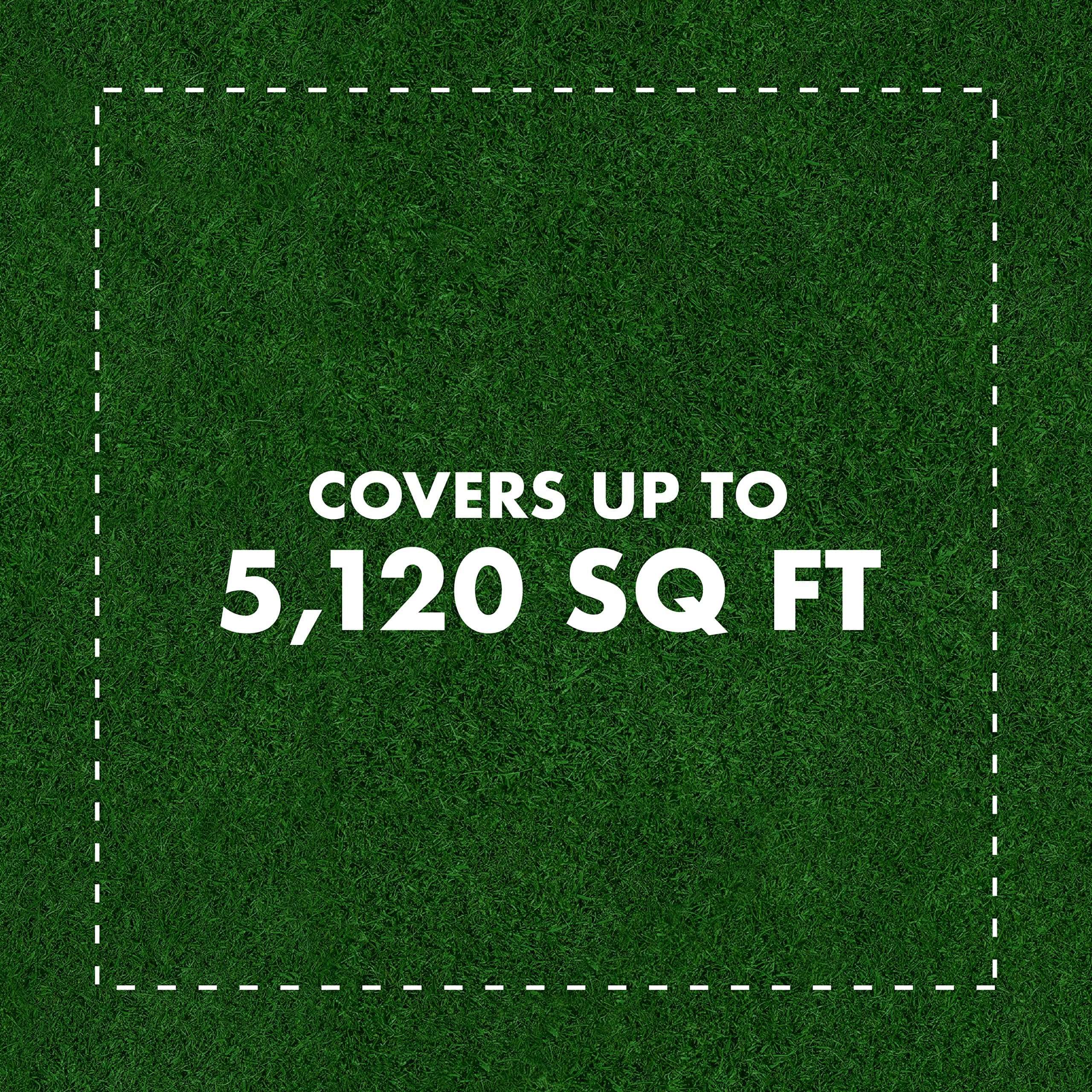 Spectracide Triazicide Insect Killer For Lawns & Landscapes Concentrate (Ready-To-Spray), Protects Lawns, Vegetables, Fruit & Nut Trees, Roses, Flowers & Shrubs, 32 fl Ounce 4