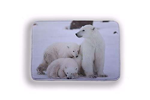 WorldCare® Type 13, 400Mmx600Mm : Bathroom Carpet Bath Animal Elephant Tiger Bathroom For Living Room Floor Mats Kitchen Rugs Entrance Doormats