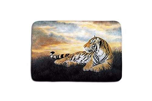 WorldCare® Type 3, 400Mmx600Mm : Bathroom Carpet Bath Animal Elephant Tiger Bathroom For Living Room Floor Mats Kitchen Rugs Entrance Doormats