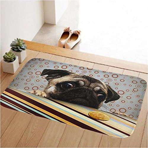 WorldCare® Non Slip Bath Kitchen Front Indoor Floor Entrance Rug Door Carpet (Imported Item)34902