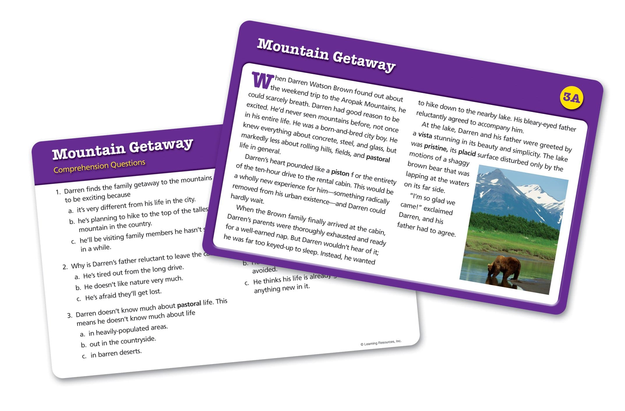Learning Resources Reading Comprehension Card Set 5